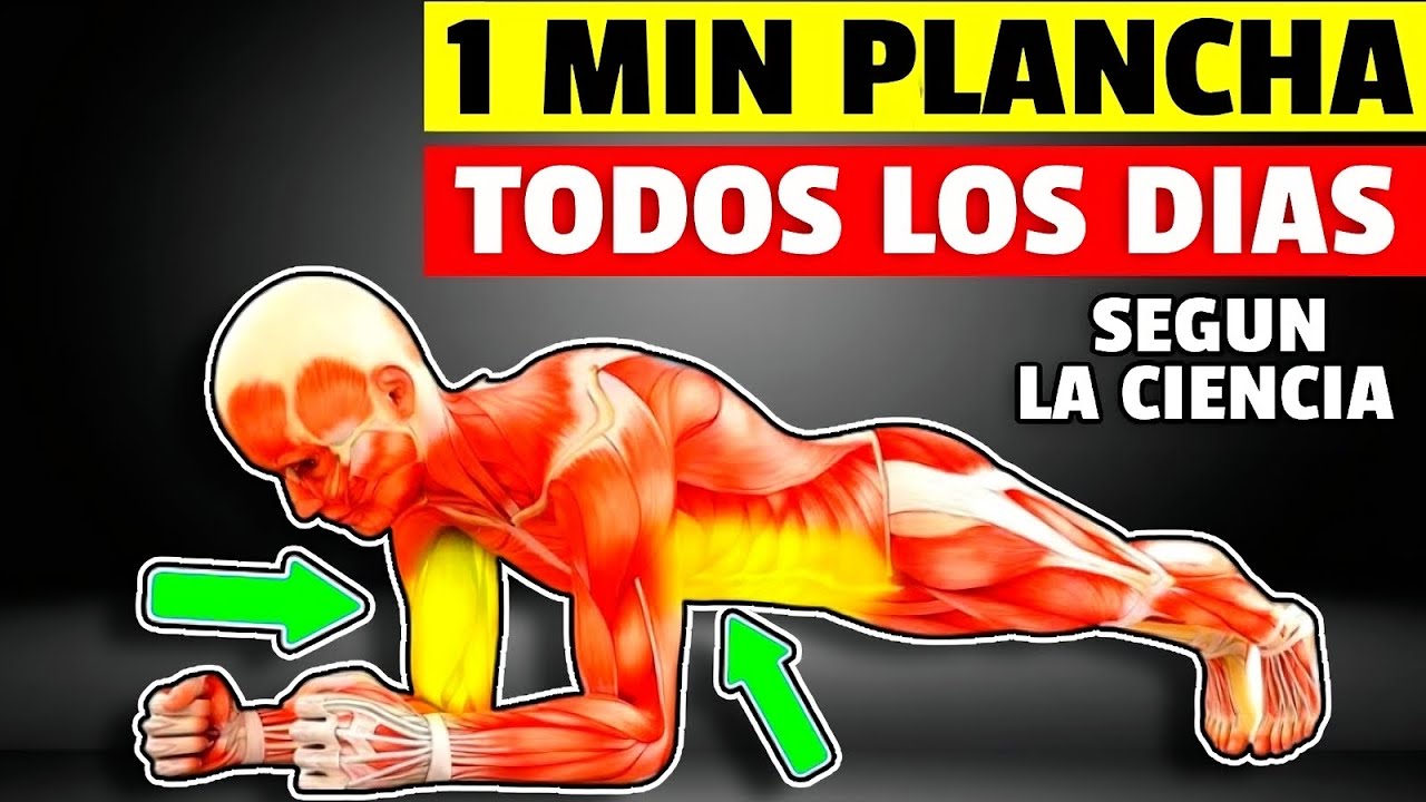 hacer planchas todos los días