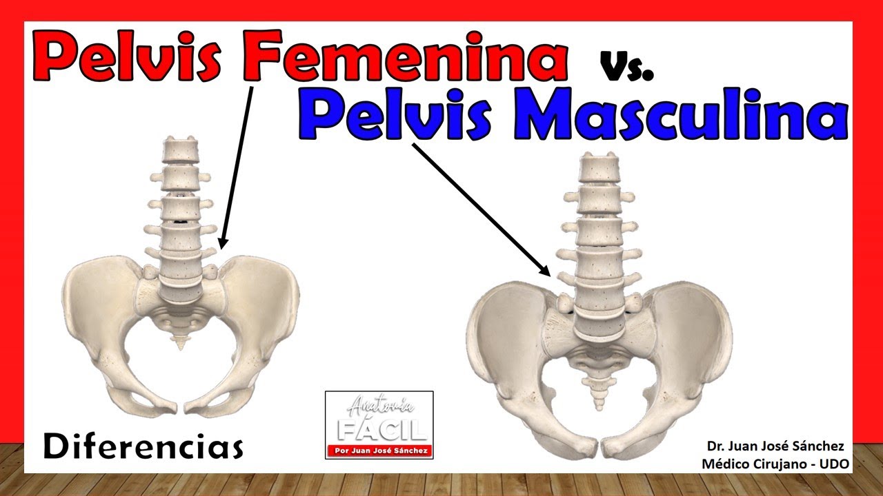 caderas de hombre y mujer