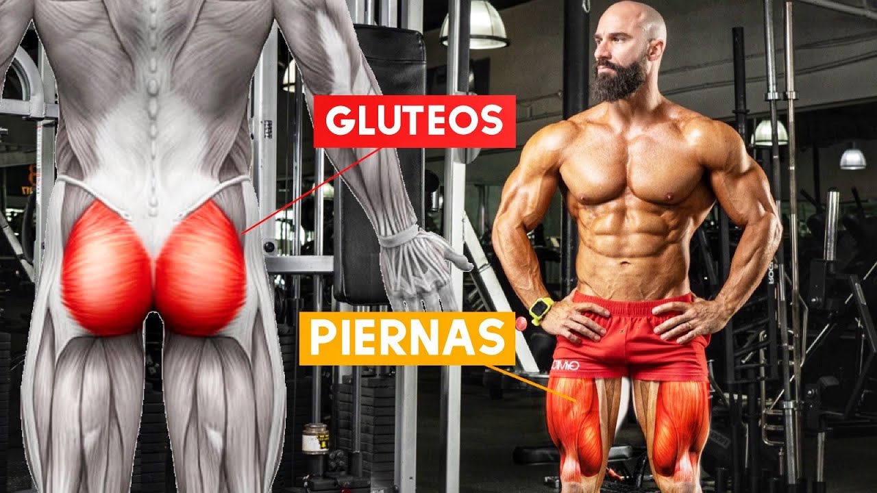 ejercicios pierna y gluteos gym