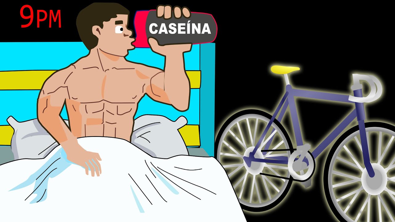 es bueno tomar proteina antes de dormir