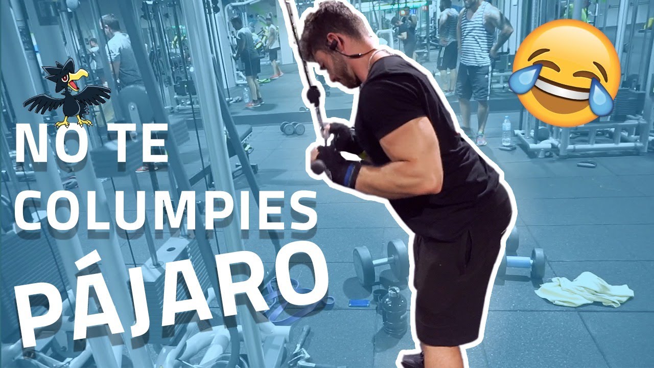 extension de triceps en polea