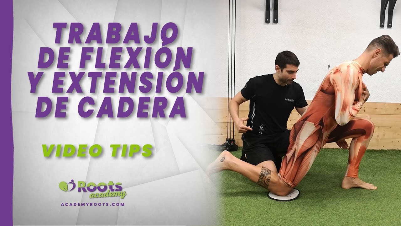 flexion y extension de cadera