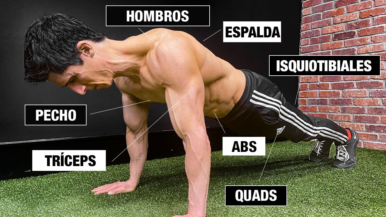 flexiones abiertas que músculos trabaja