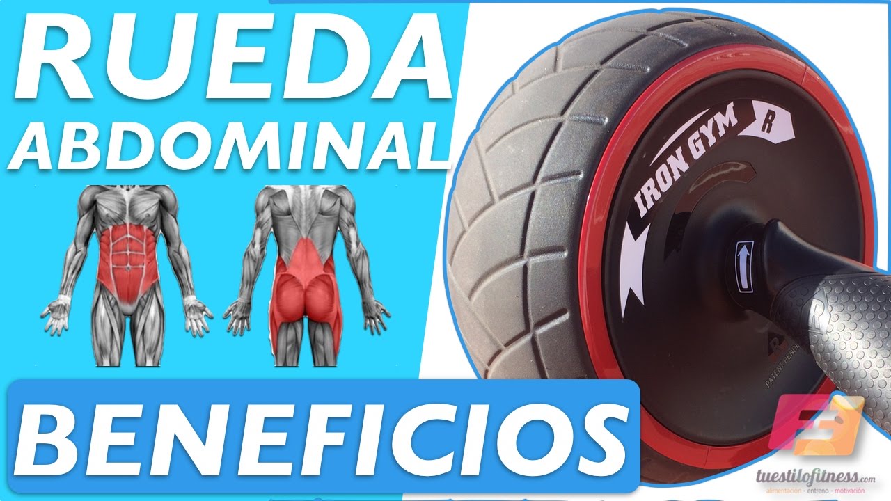 rueda abdominal que musculos trabaja