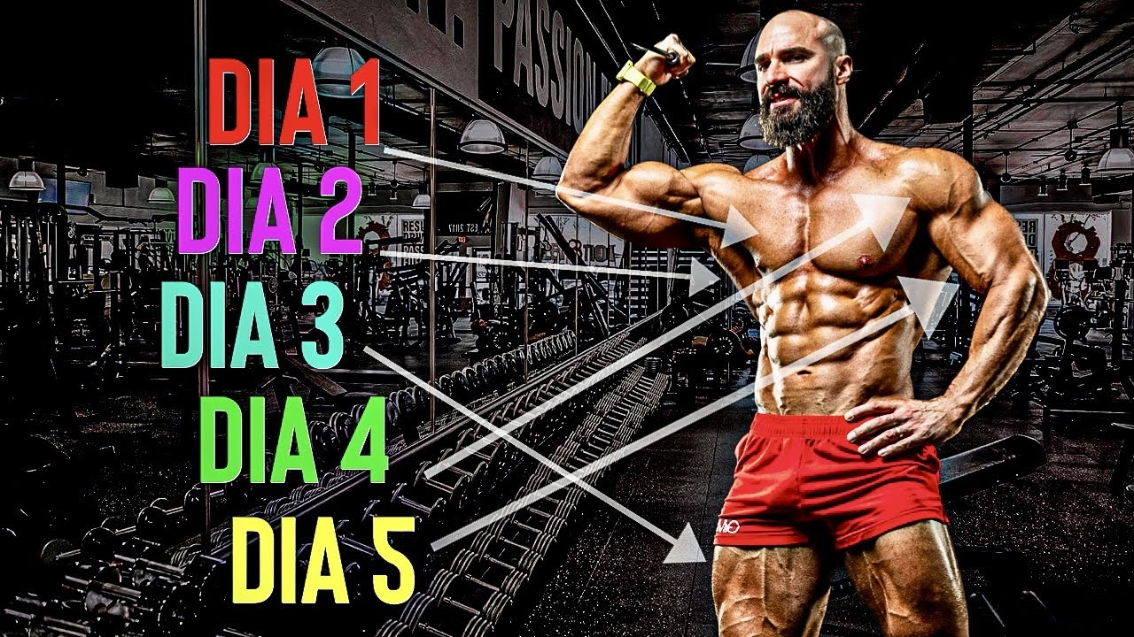 rutina grupos musculares 5 días