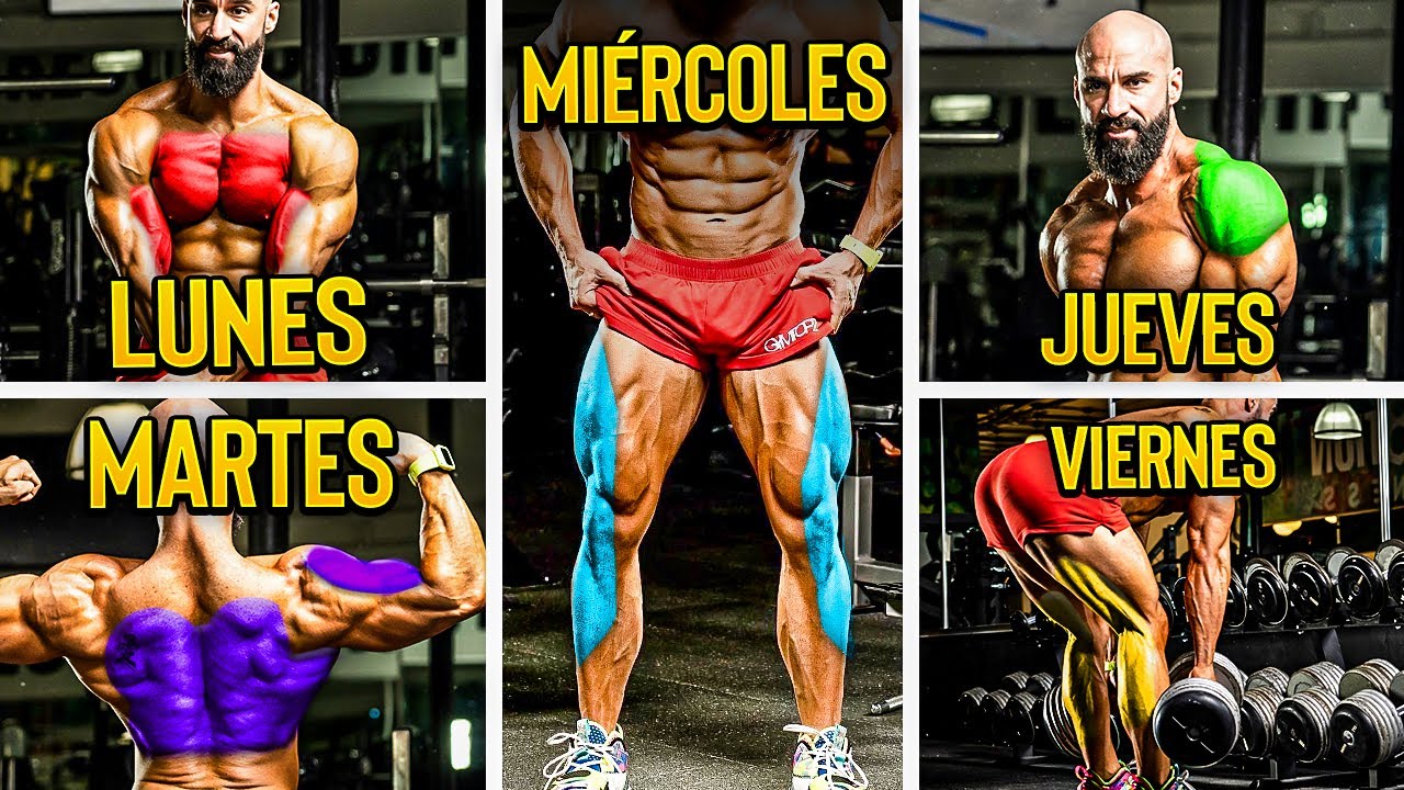 rutinas de gym para hombres