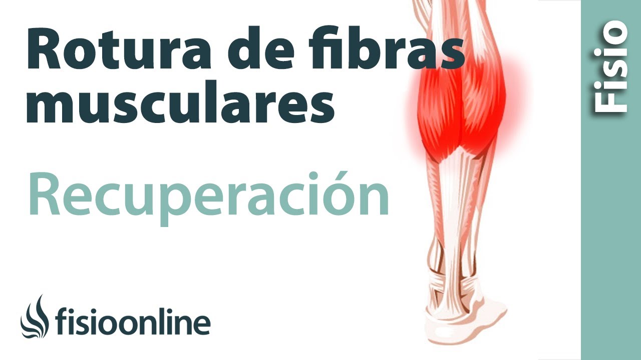 como recuperar una rotura de fibras