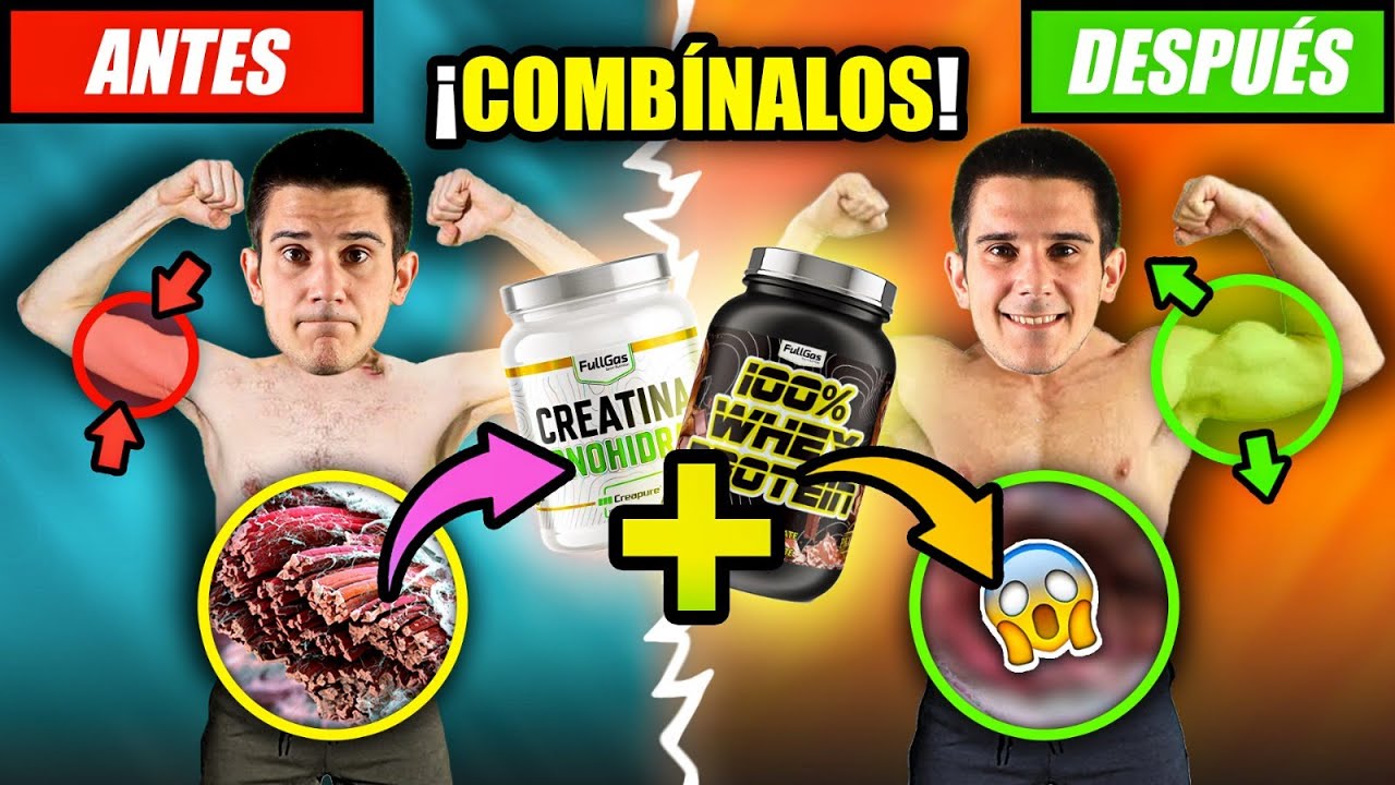 creatina y proteina se pueden mezclar