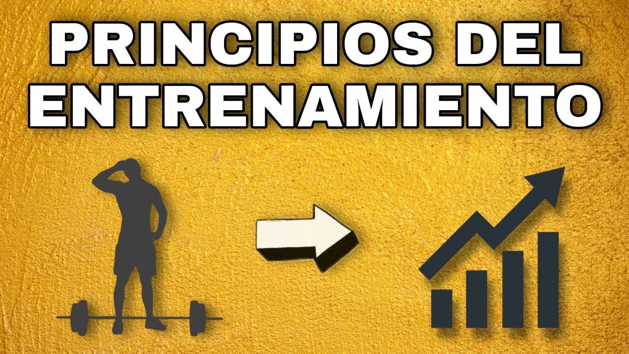cuales son los principios de entrenamiento