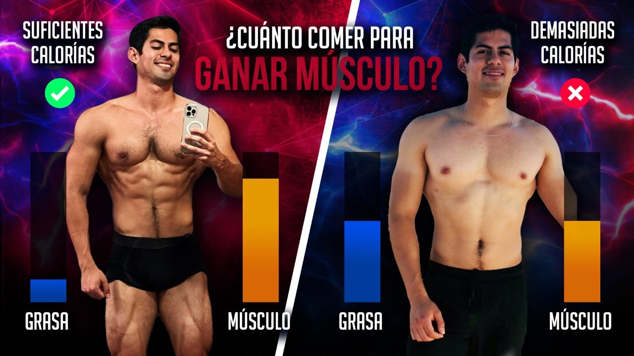 cuantas calorías debo consumir para ganar masa muscular calculadora