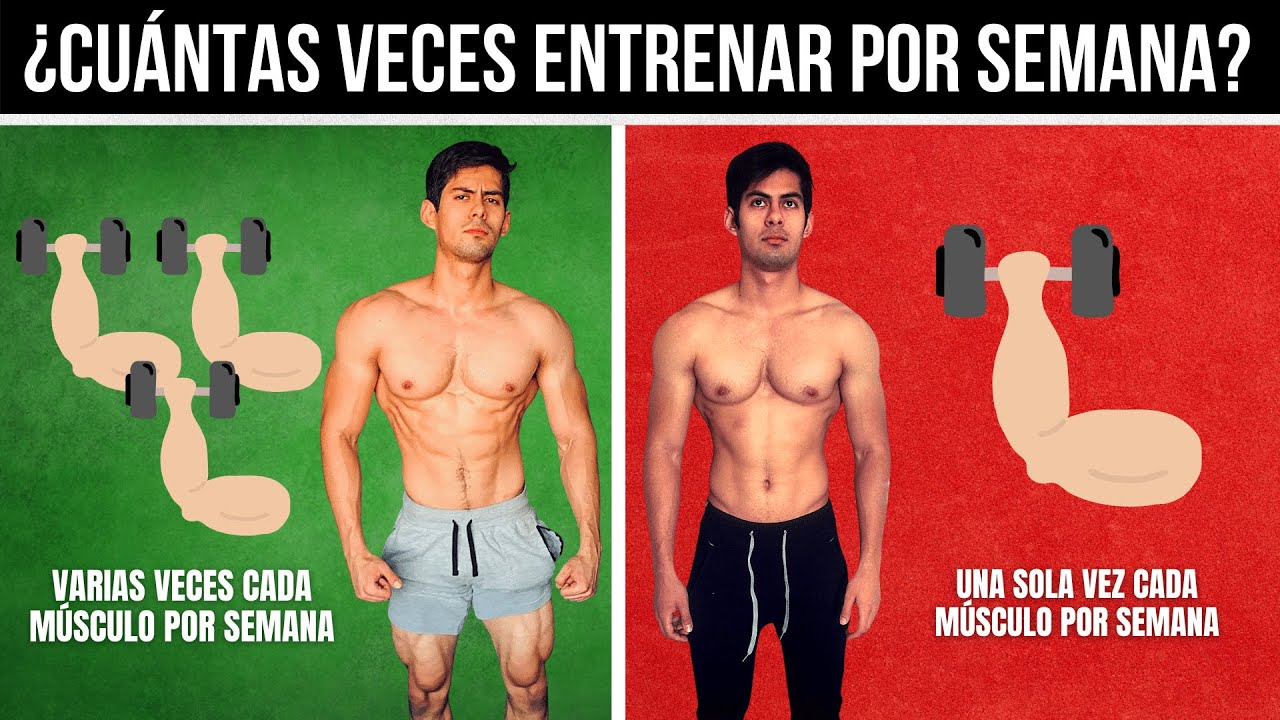 cuantas veces entrenar espalda a la semana