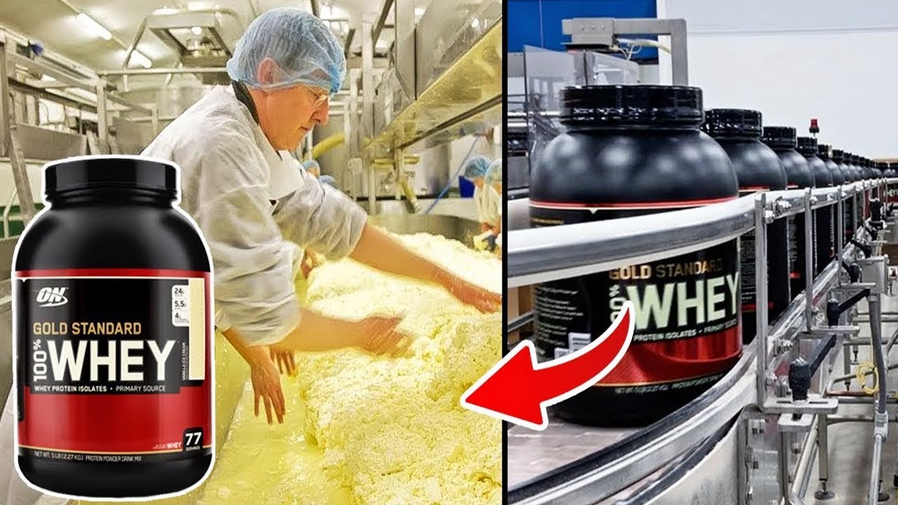 de donde viene la proteina en polvo