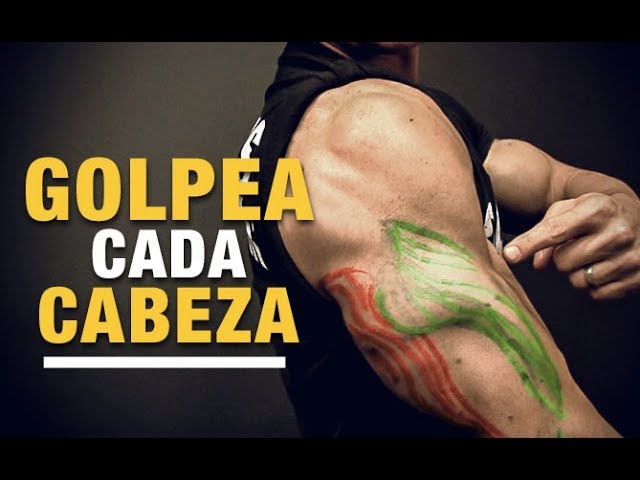 ejercicios para la cabeza larga del triceps