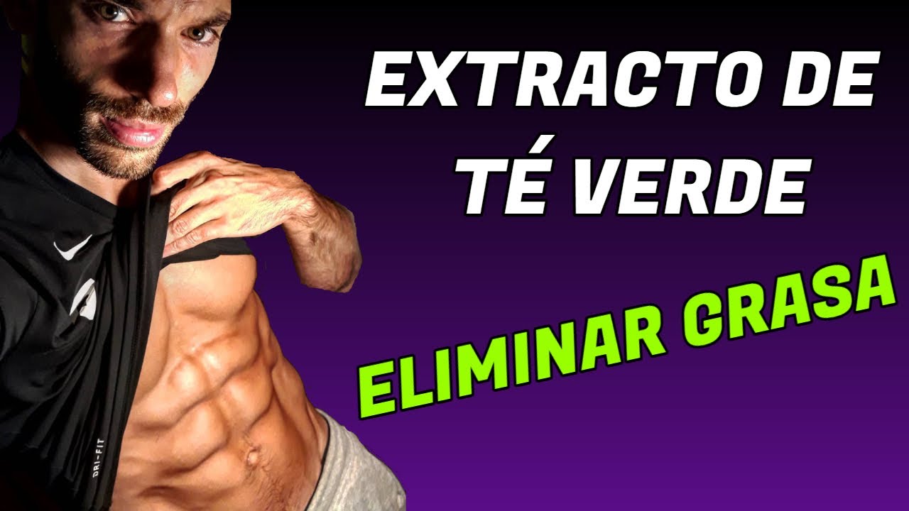 extracto de te verde para que sirve