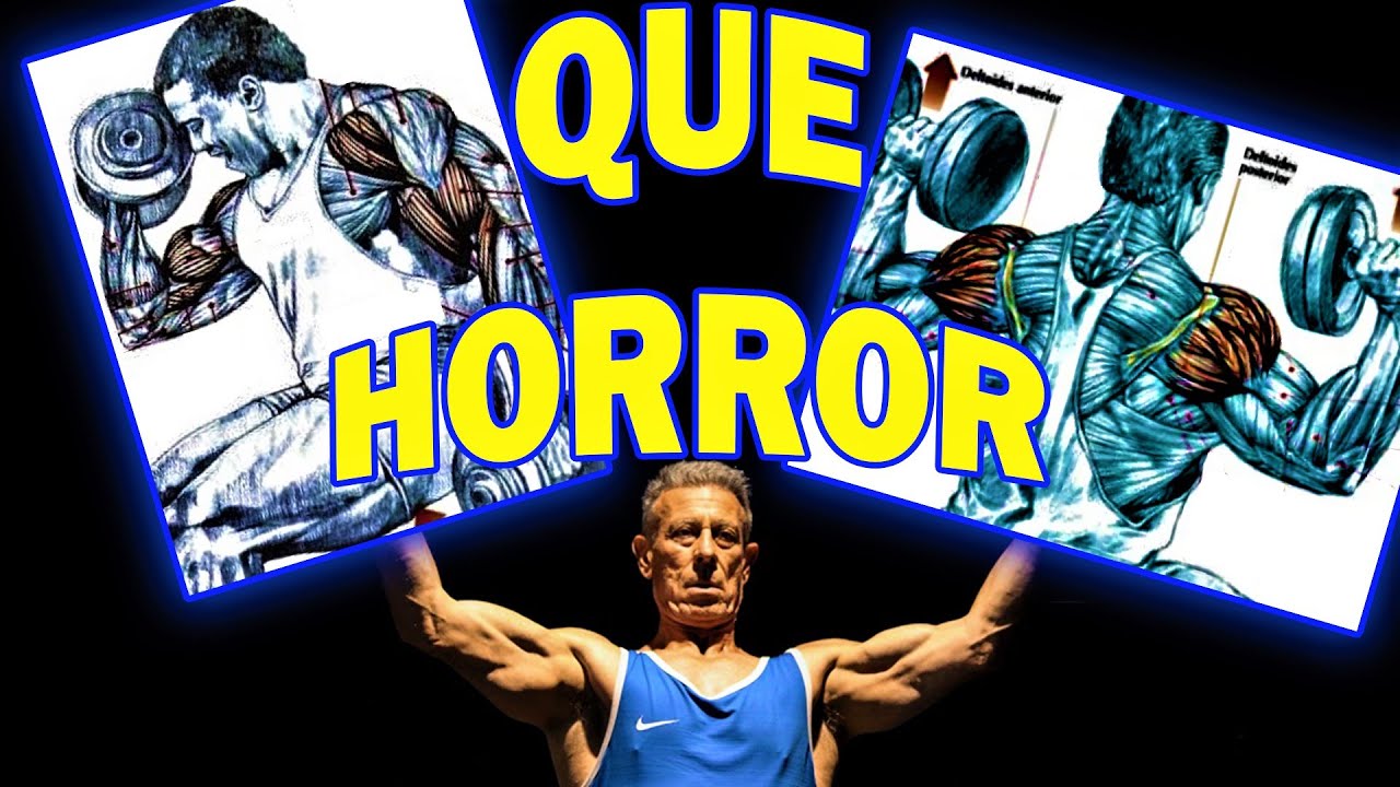 guia de los movimientos de musculacion pdf