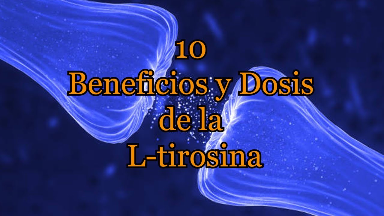l-tirosina cuanto tarda en hacer efecto