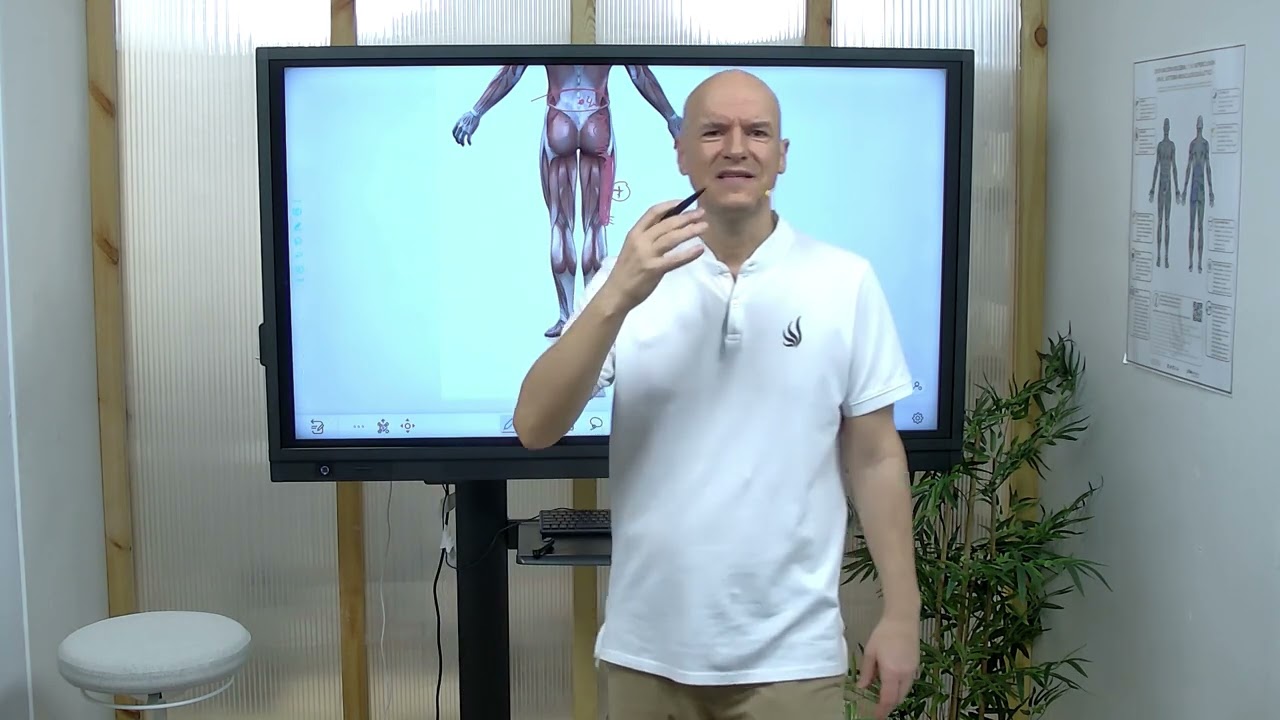 lesión muscular en el bíceps femoral del muslo izquierdo