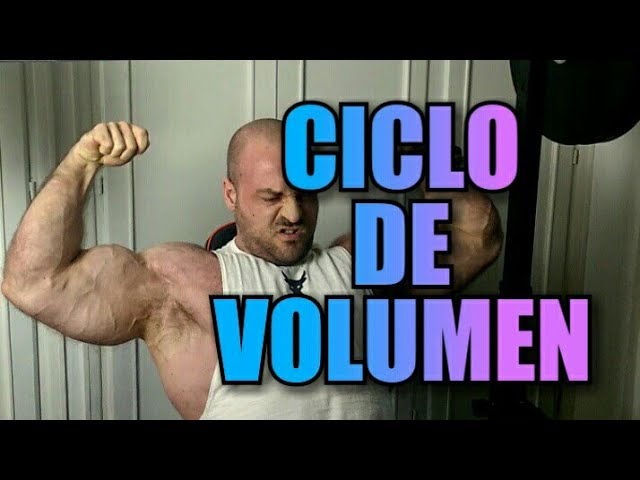 mejor ciclo de volumen para principiantes