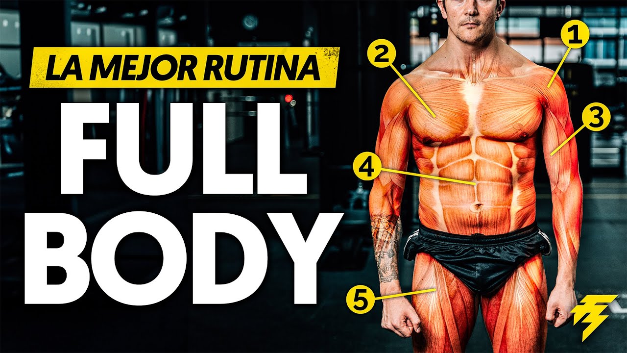 rutina full body 3 días principiante