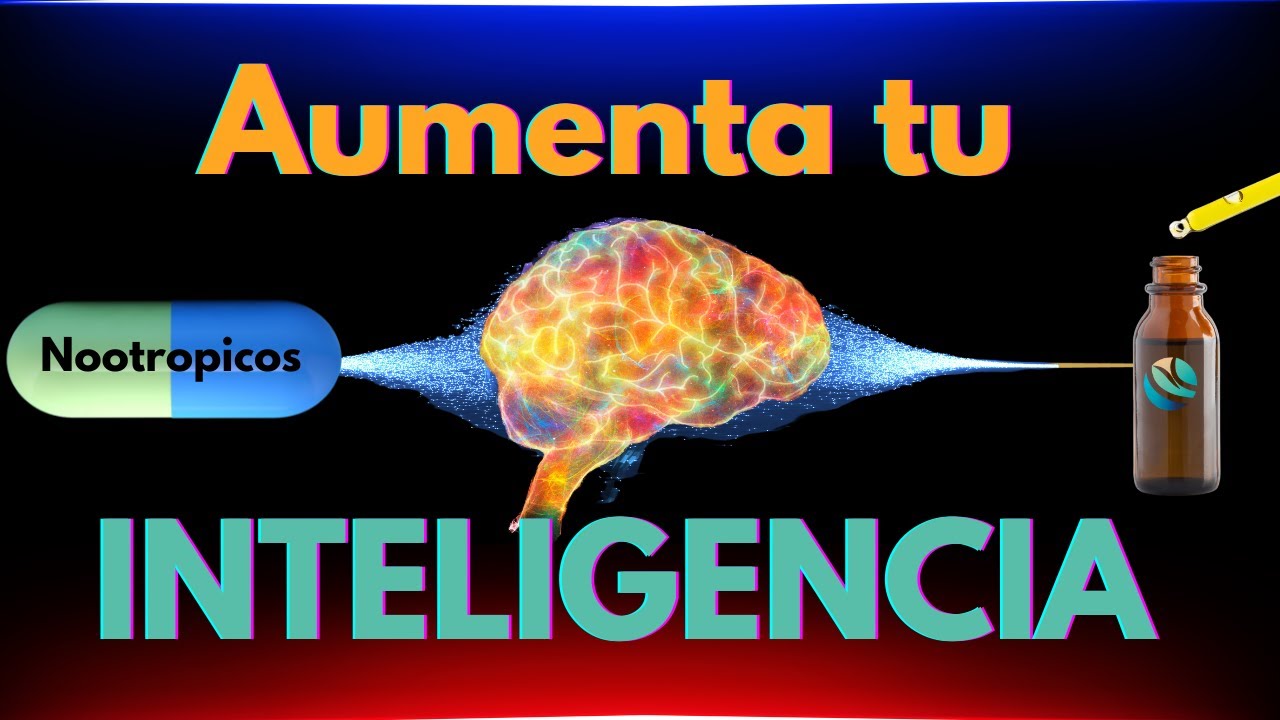 suplementos para la memoria y concentracion