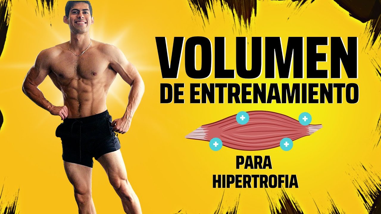 volumen de entrenamiento por grupo muscular