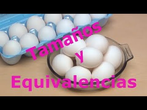 1 clara de huevo en gramos
