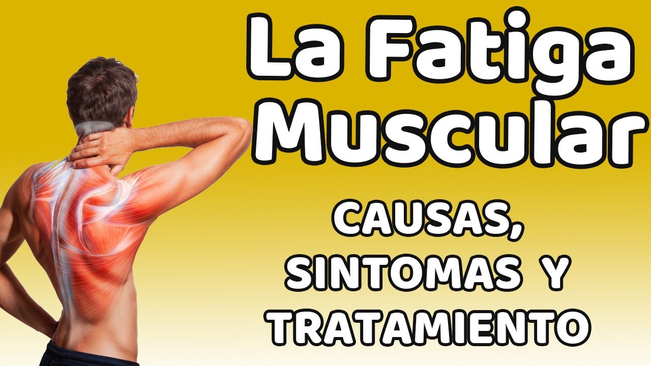 a que se debe la fatiga muscular