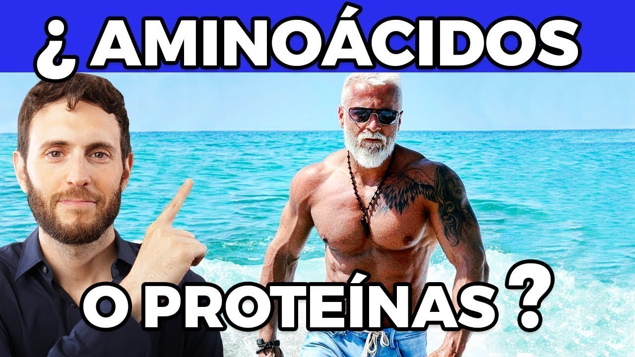 aminoacidos y glutamina para que sirve