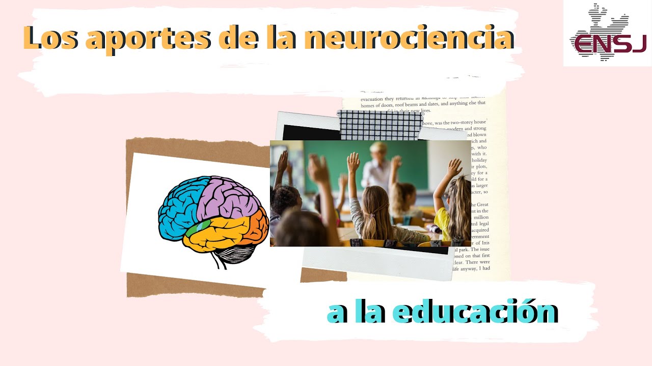 aportes de la neurociencia a la educacion