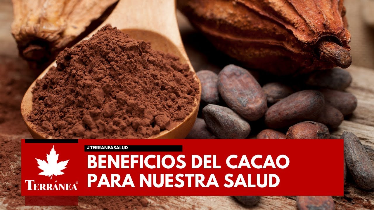 beneficios del cacao en la piel