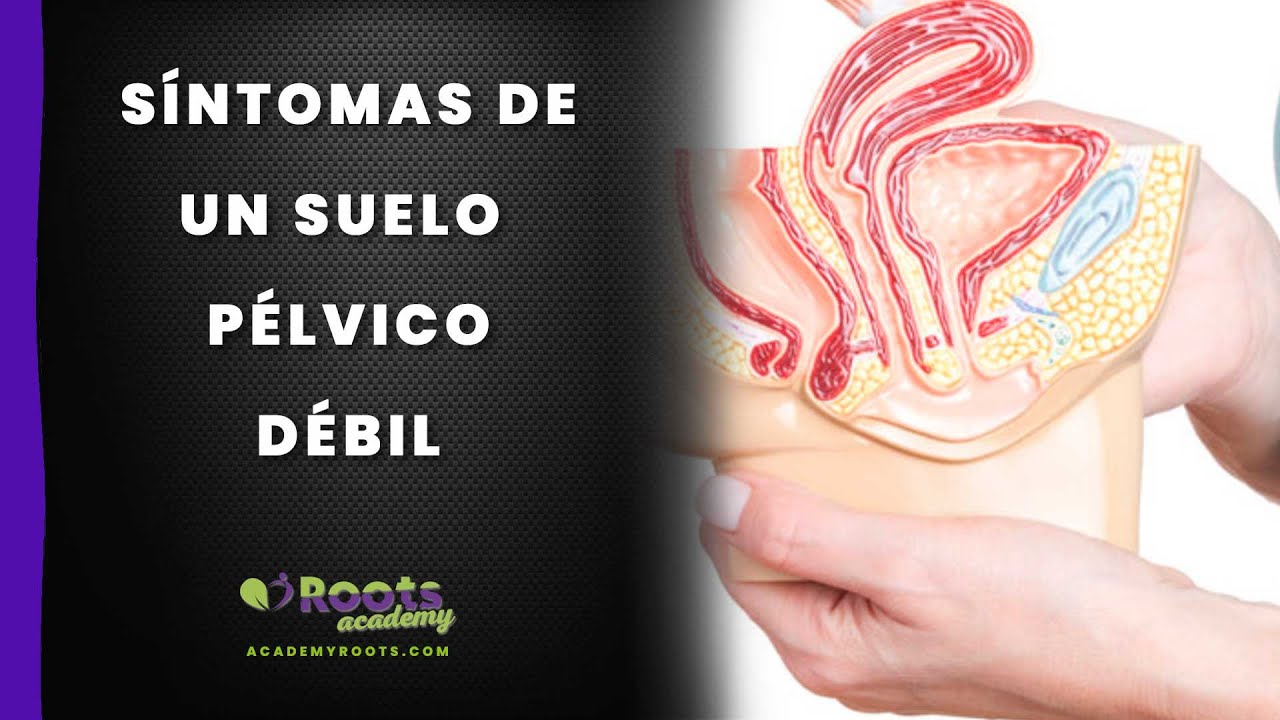 como saber si mi suelo pélvico está fuerte