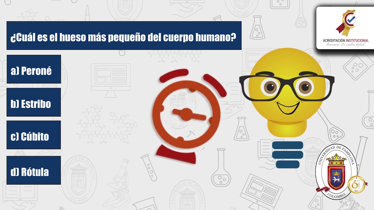 cuál es el hueso más pequeño del cuerpo
