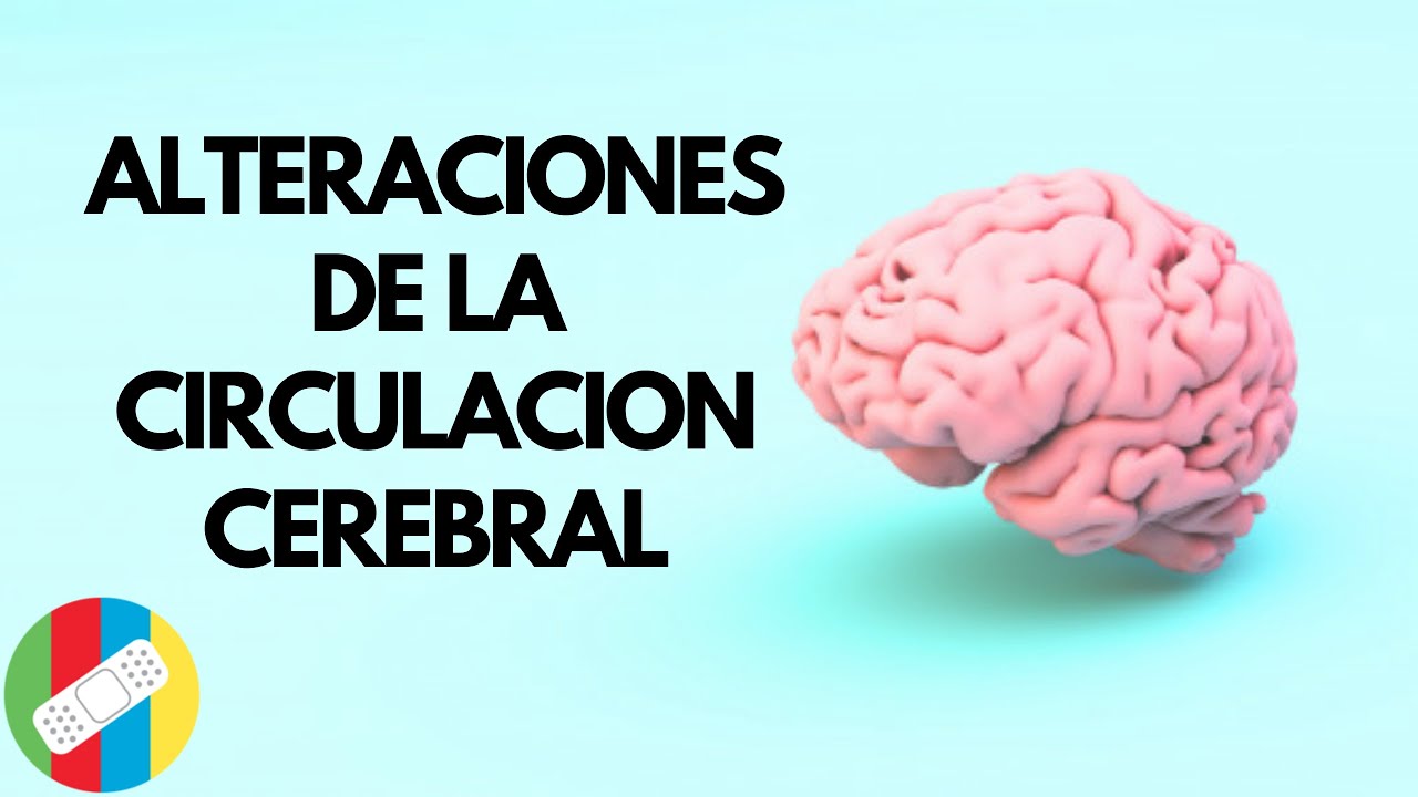 cuando no llega sangre al cerebro