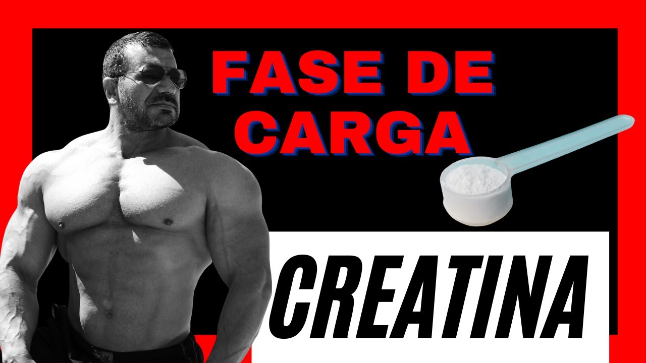 cuanta creatina tomar en fase de carga