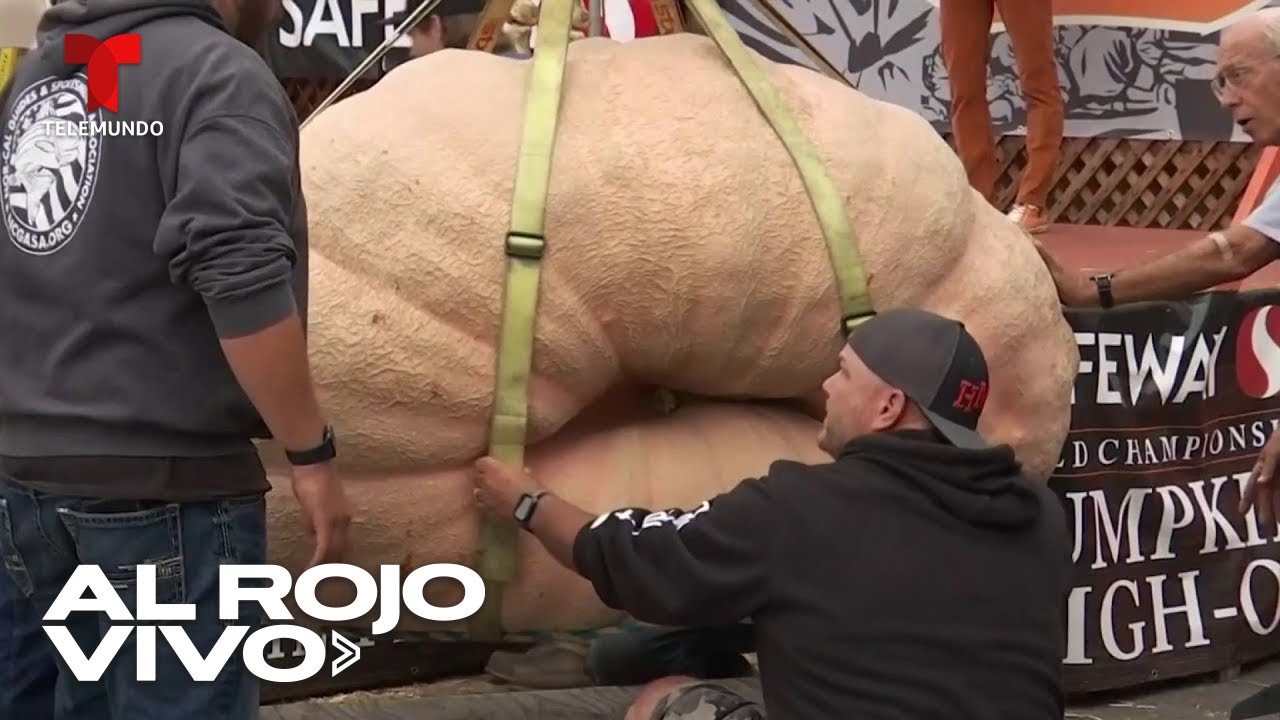cuánto pesa la calabaza más grande del mundo