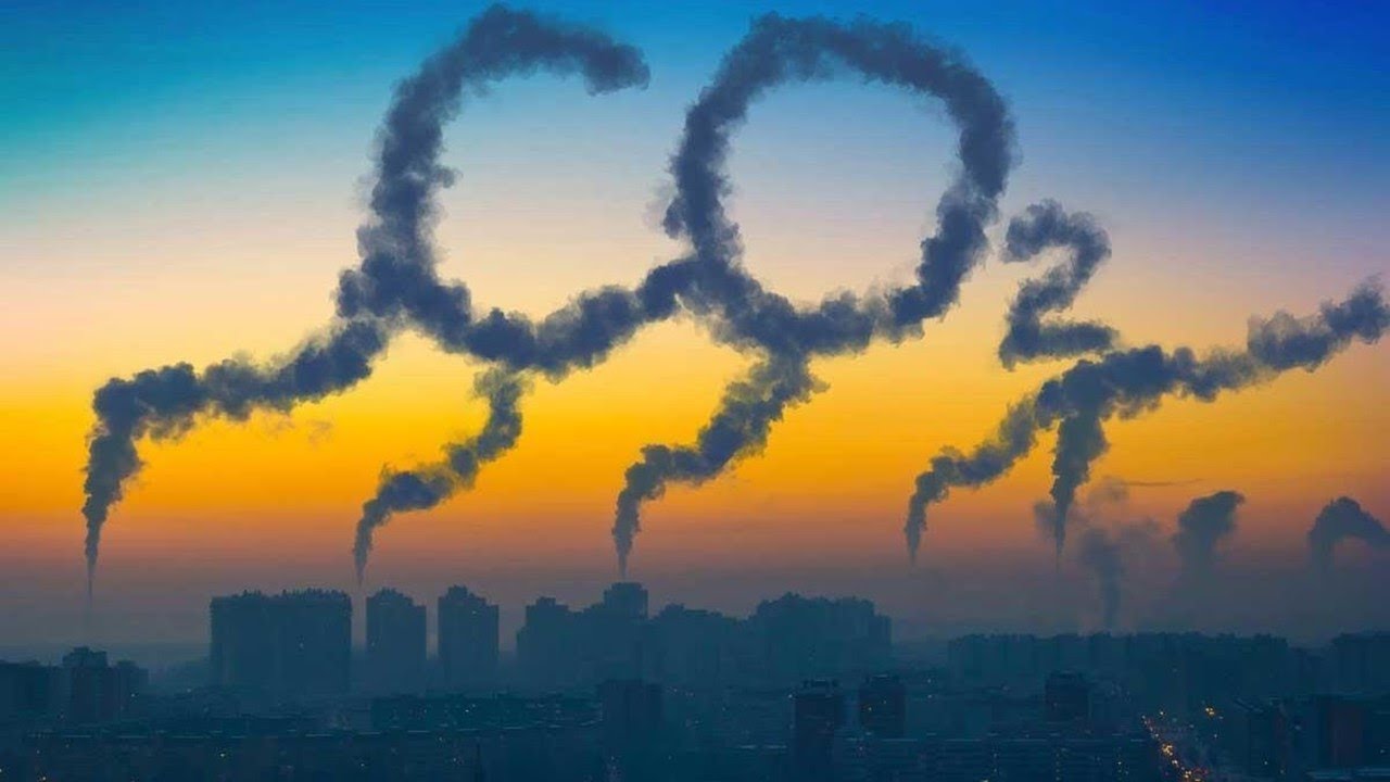 diferencia entre oxígeno y dióxido de carbono