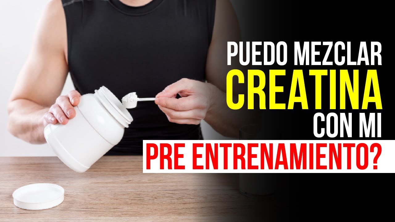diferencia entre pre workout y creatina