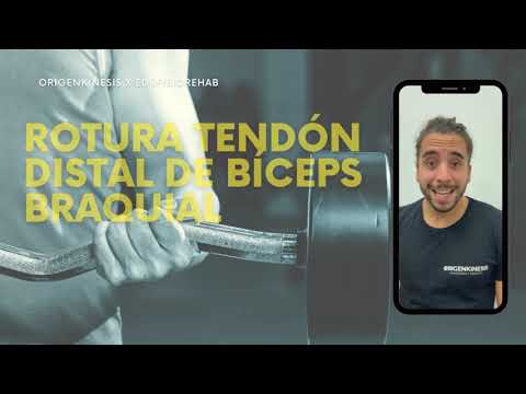 ejercicios rehabilitación rotura tendón distal bíceps braquial