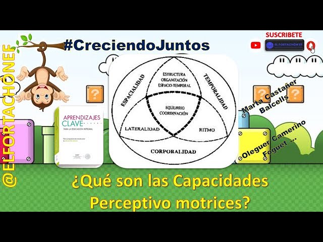 el cuerpo y sus habilidades perceptivo motrices