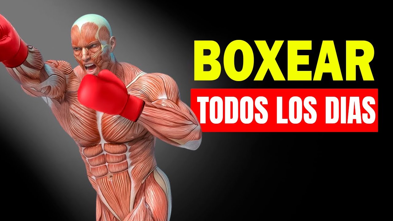 es bueno el boxeo para la espalda