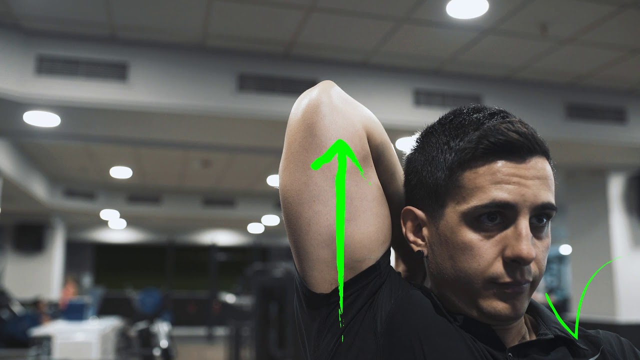 extensión de tríceps por encima de la cabeza con mancuerna