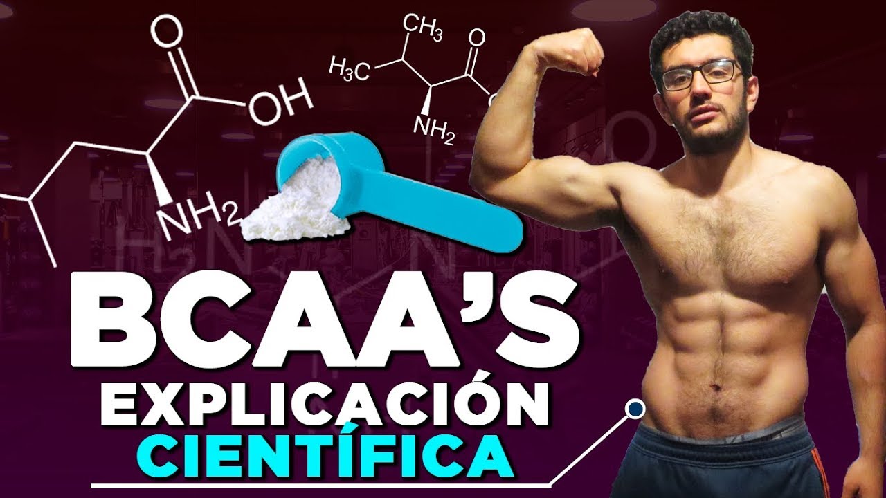 glutamina o bcaa que es mejor