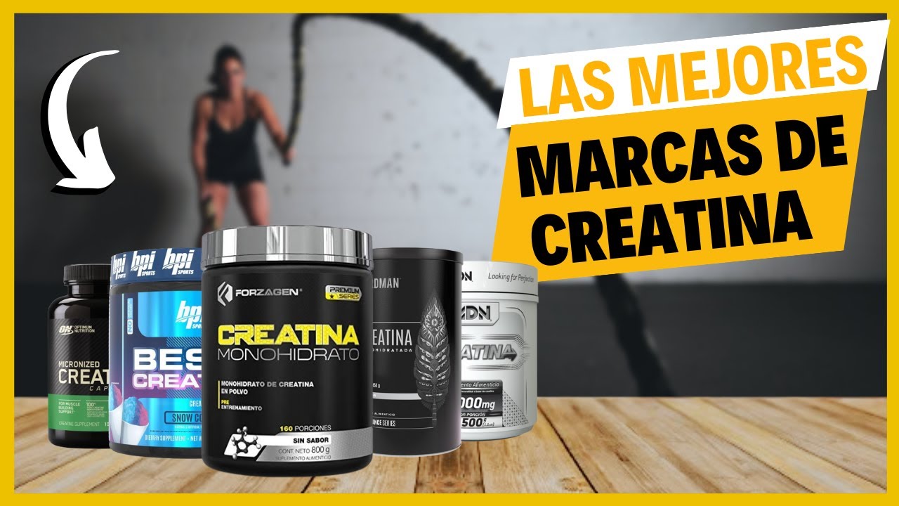 las 10 mejores marcas de creatina
