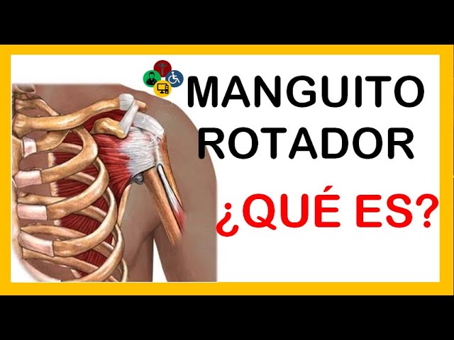 musculos que forman el manguito rotador del hombro