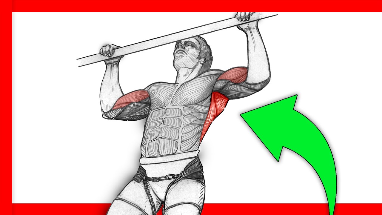 musculos que se trabajan en las dominadas