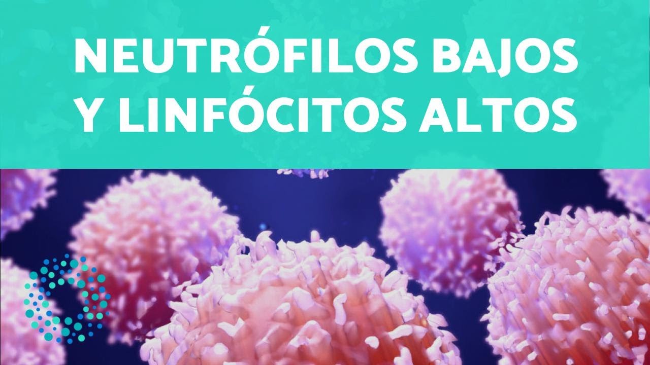 neutrofilos bajos y linfocitos altos eosinofilos altos que significa
