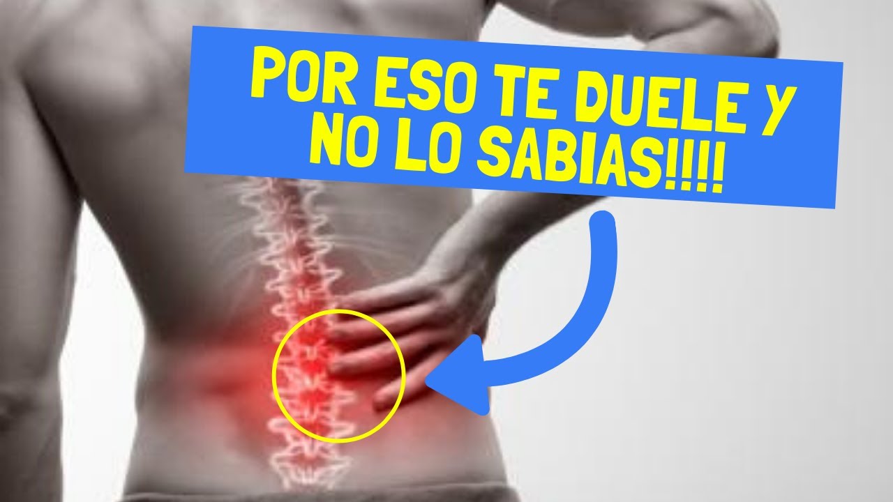 parte inferior y central de la espalda