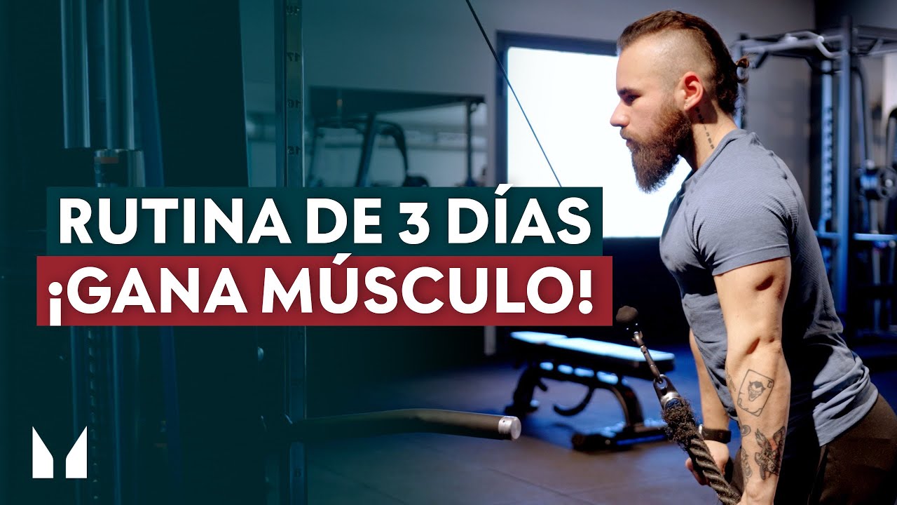 rutina gimnasio 3 días tonificar hombre